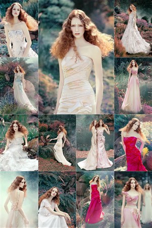 青青草免费视频在线播放