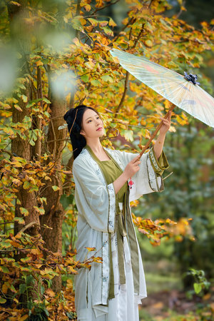 欧美理论性片看看